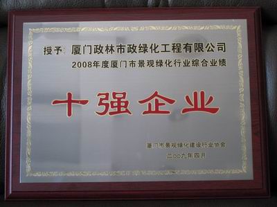 政林--协会十强企业荣誉证书